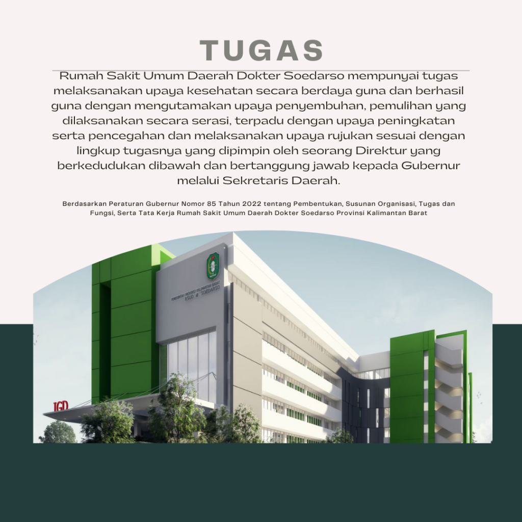 tugas dan fungsi rsud